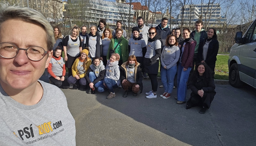 Jarn&iacute; očkov&aacute;n&iacute; zv&iacute;řat od lid&iacute; bez domova